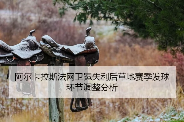 a-er-ka-la-si-fa-wang-wei-mian-shi-li-hou-cao-di-sai-ji-fa-qiu-huan-jie-tiao-zheng-fen-xi-2-560.jpg