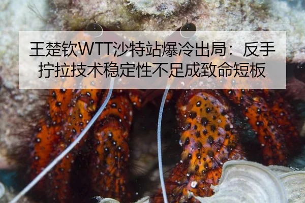 wang-chu-qin-sha-te-zhan-bao-leng-chu-ju-fan-shou-ning-la-ji-shu-wen-ding-xing-bu-zu-cheng-zhi-ming-duan-ban-2-594.jpg