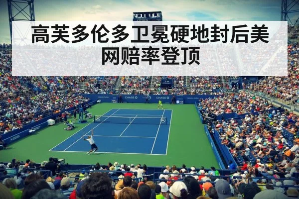 US Open tennis
