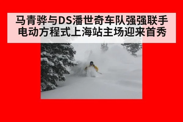 马青骅与DS潘世奇车队强强联手 电动方程式上海站主场迎来首秀